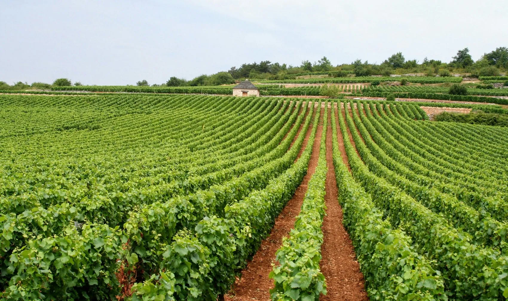 Vignoble du Var